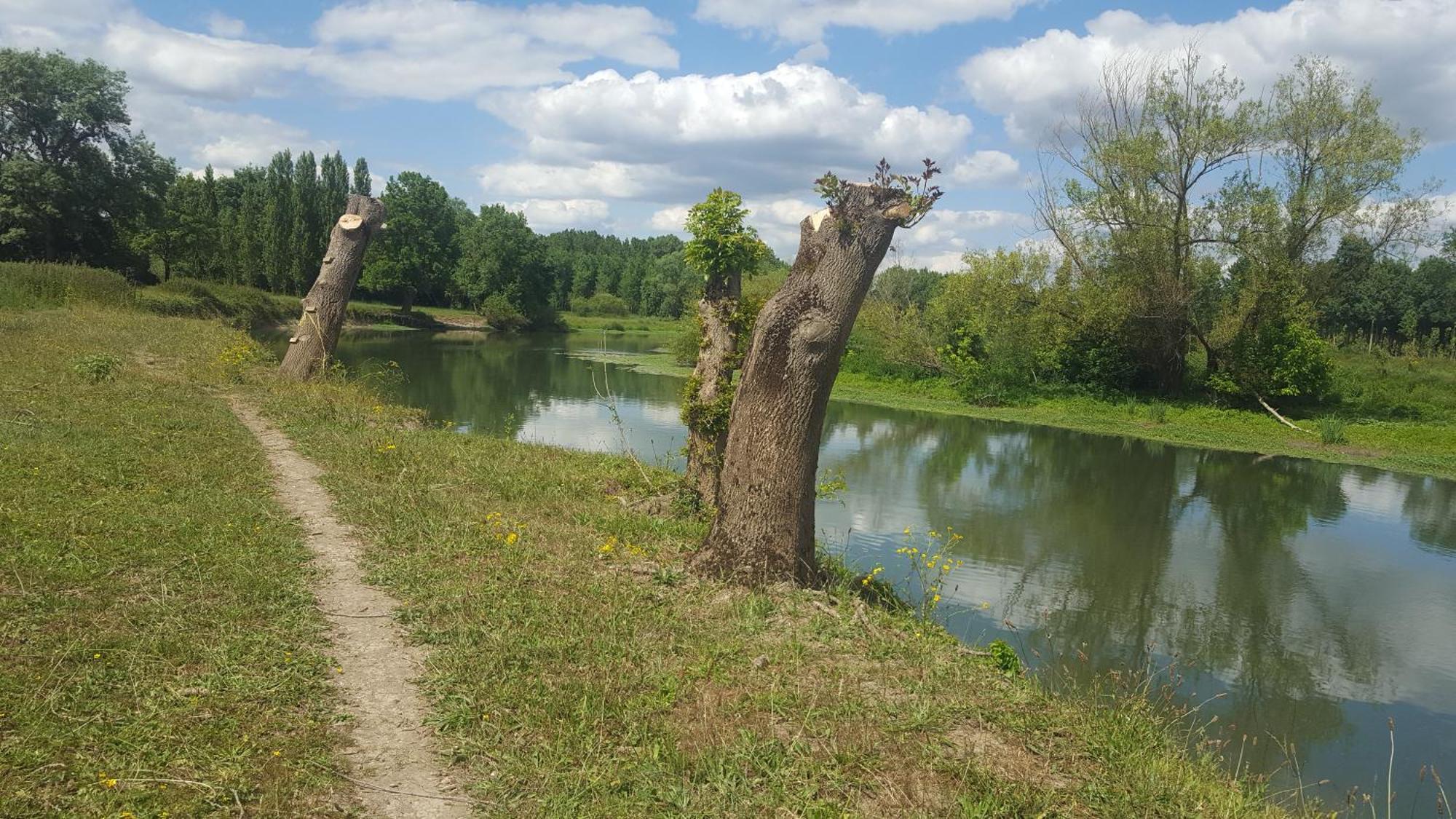 Gite Angers Proche Briollay ภายนอก รูปภาพ